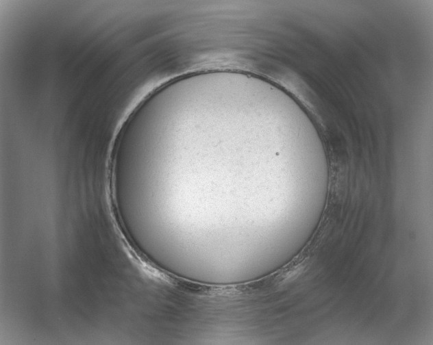 X0000053071094200507251453