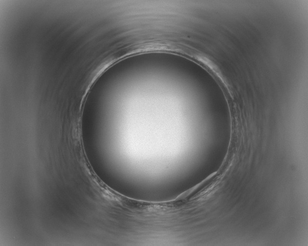 X0000053071097200507251453