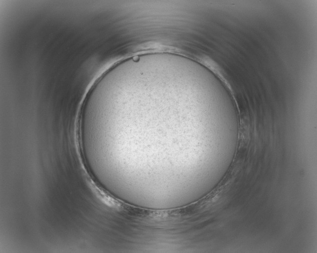 X0000053071098200507251453