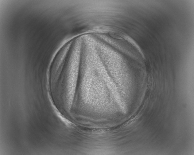 X0000053071099200507251453