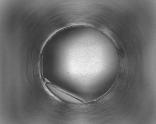 X0000053071100200507251453