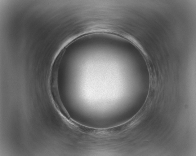 X0000053071101200507251453