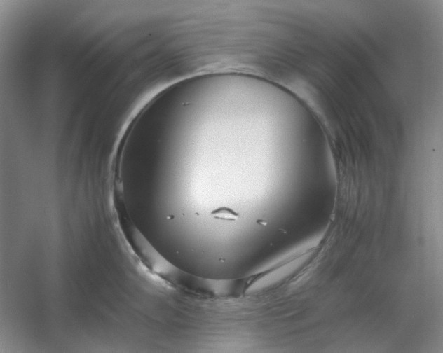 X0000053071102200507251453