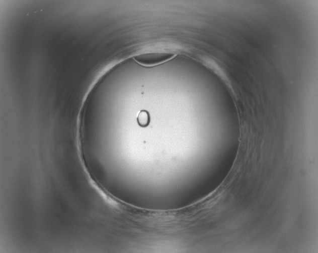 X0000053071103200507251453