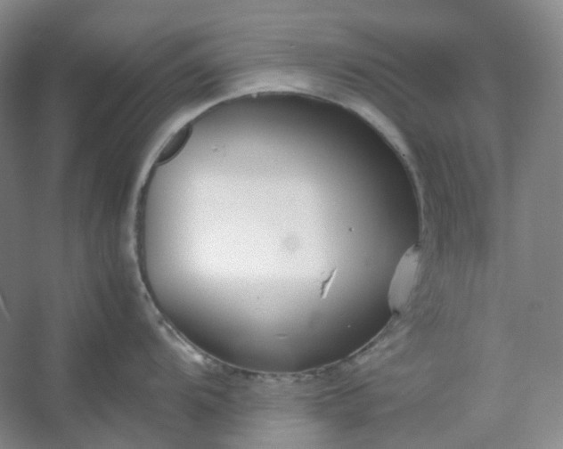 X0000053071104200507251453