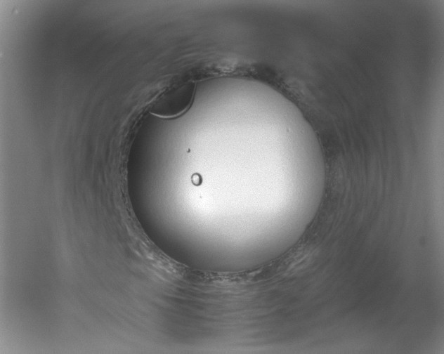 X0000053071105200507251452