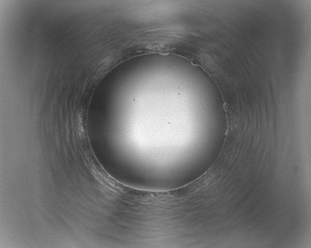 X0000053071106200507251452