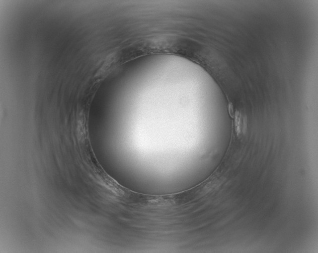 X0000053071107200507251452