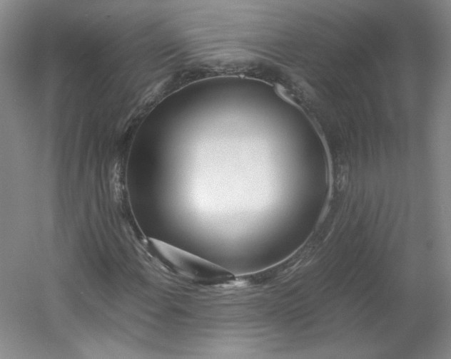 X0000053071108200507251452