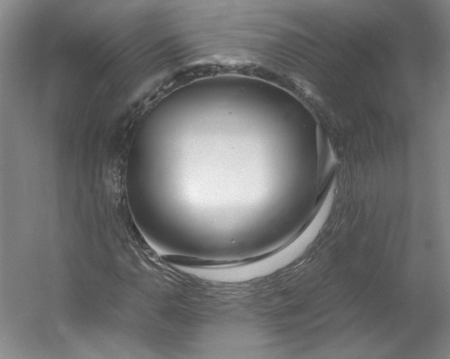 X0000053071110200507251452