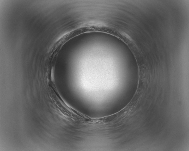 X0000053071112200507251452