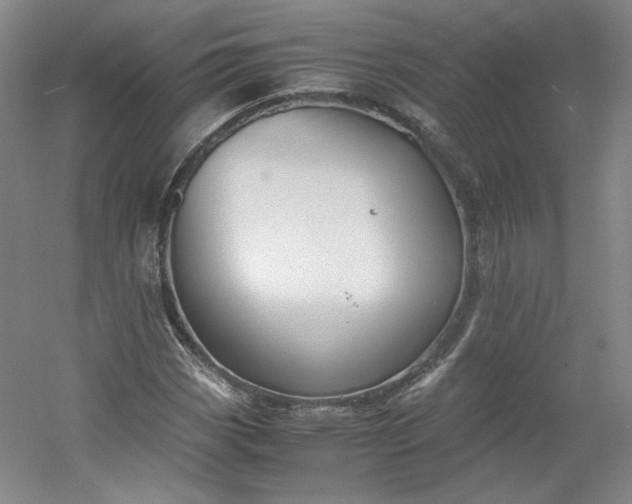 X0000053071113200507251452