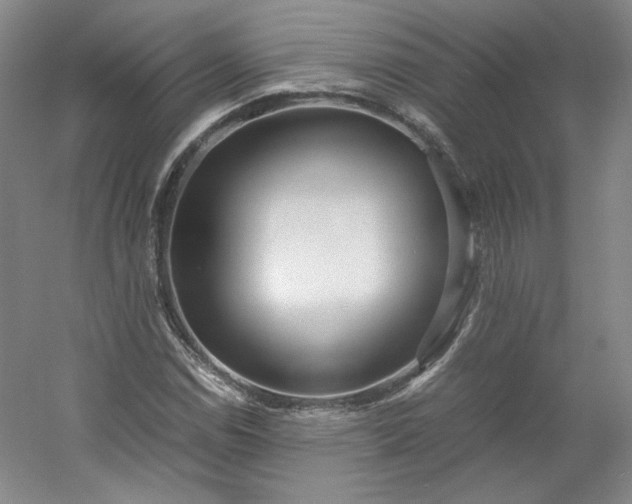 X0000053071114200507251452