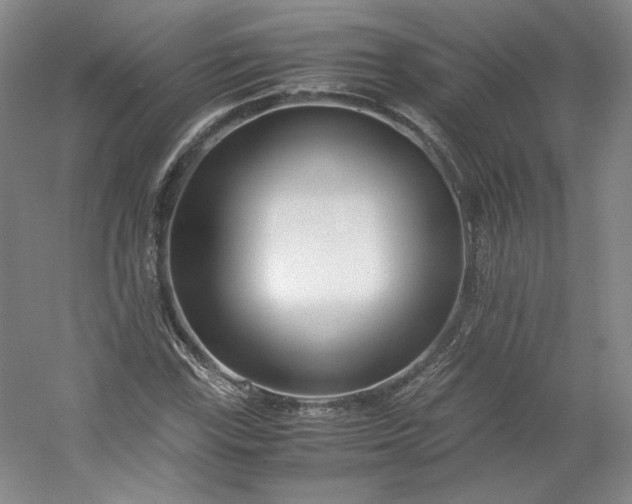 X0000053071115200507251452