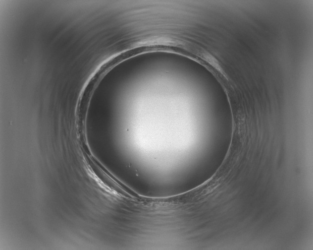 X0000053071116200507251452