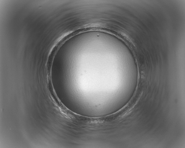 X0000053071117200507251452