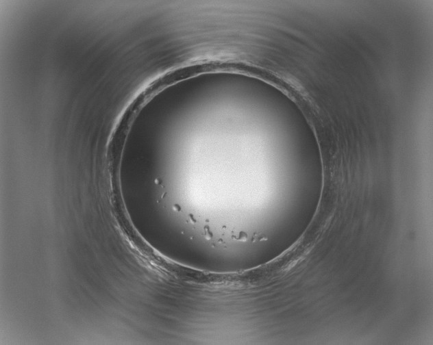 X0000053071118200507251452