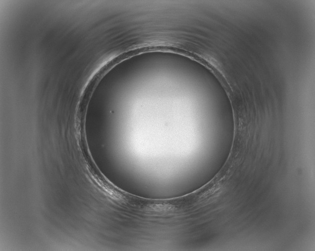 X0000053071119200507251452