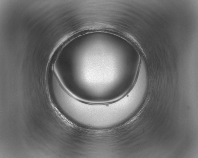 X0000053071122200507251452