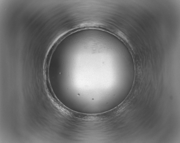 X0000053071124200507251452