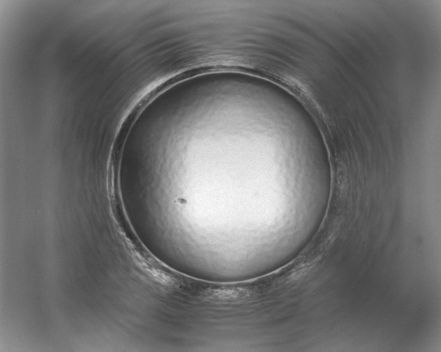 X0000053071125200507251452