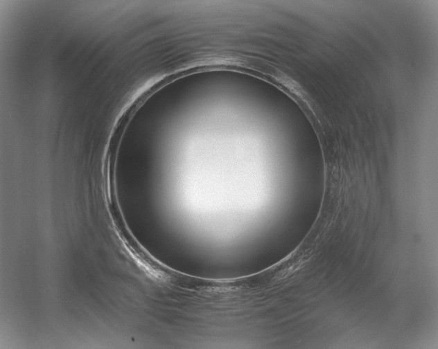 X0000053071127200507251452