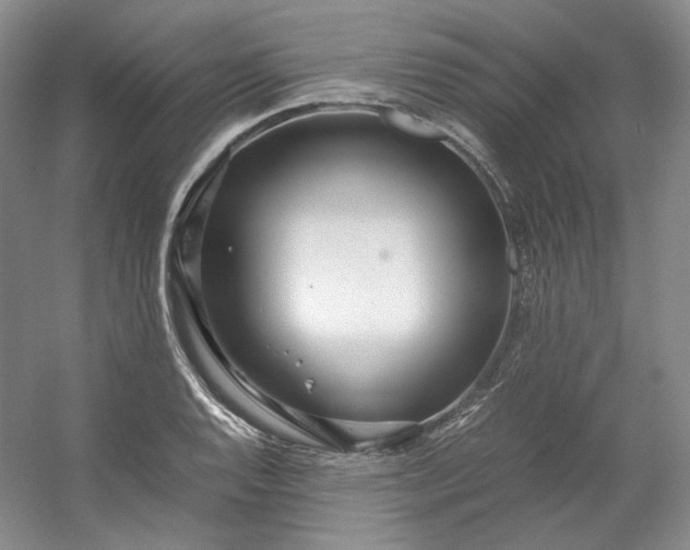 X0000053071128200507251452