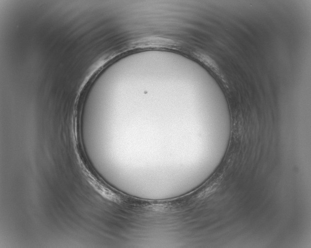 X0000053071130200507251452