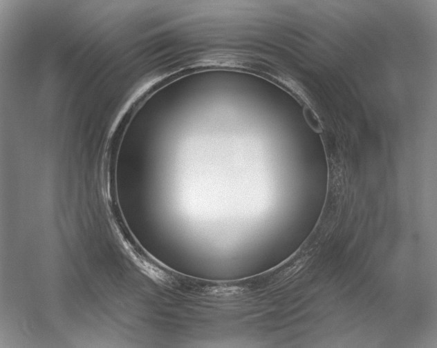 X0000053071131200507251452