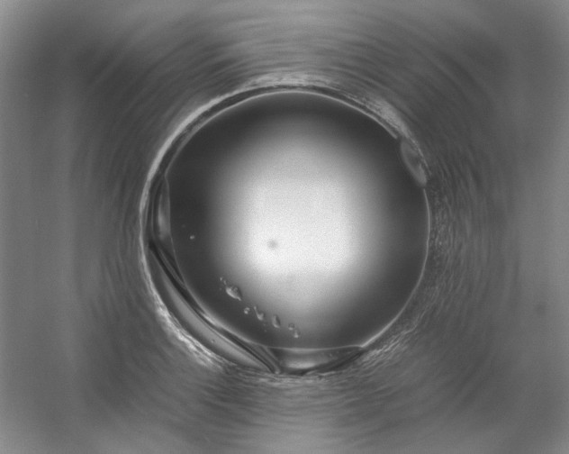 X0000053071132200507251452