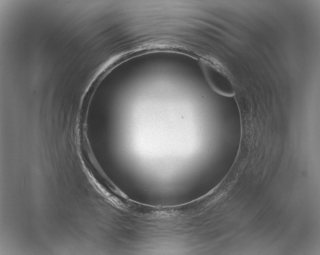 X0000053071134200507251452