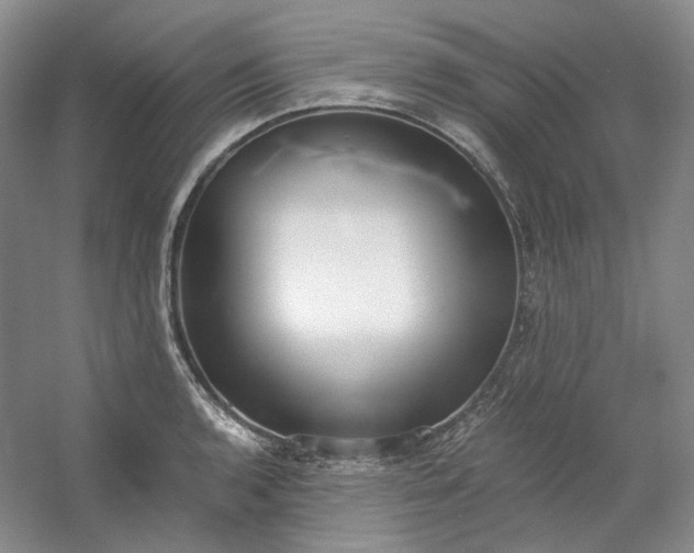 X0000053071136200507251453