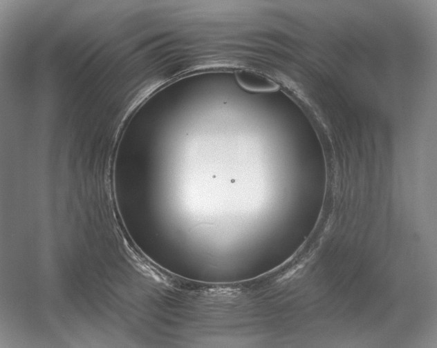 X0000053071137200507251453