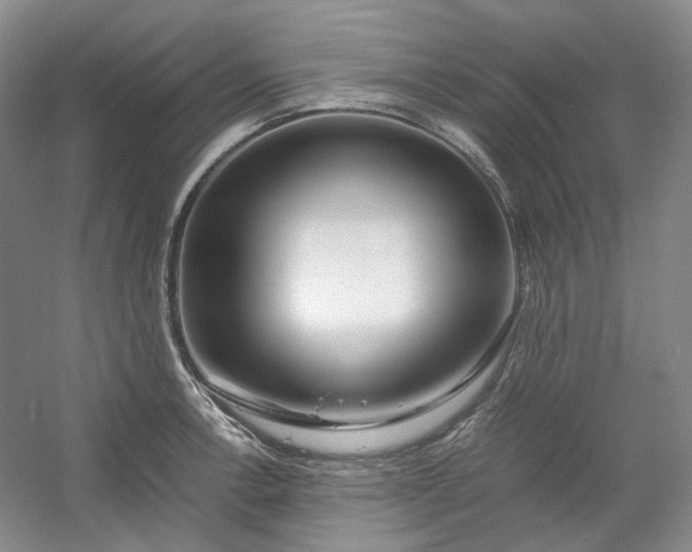 X0000053071138200507251453