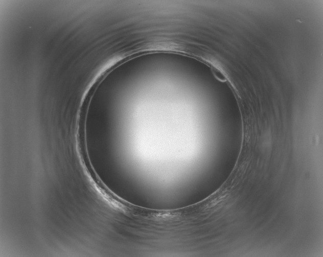 X0000053071139200507251453