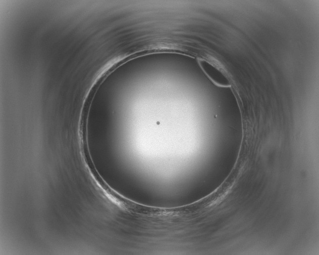 X0000053071141200507251453