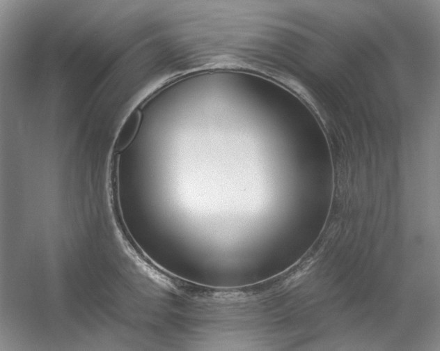 X0000053071142200507251453