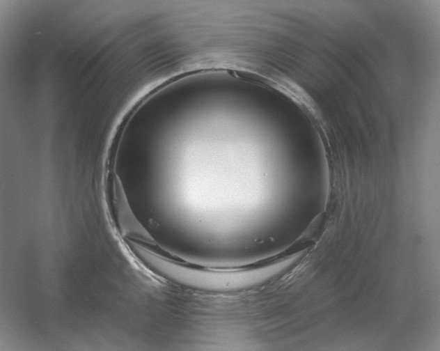 X0000053071144200507251453