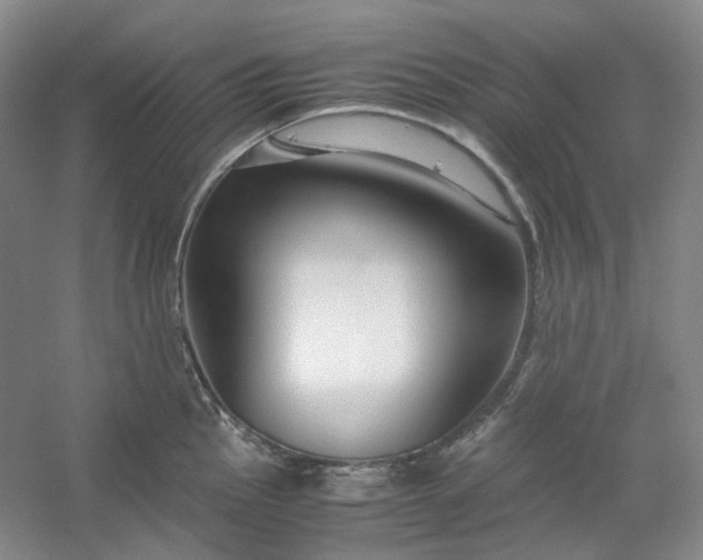 X0000053071145200507251453