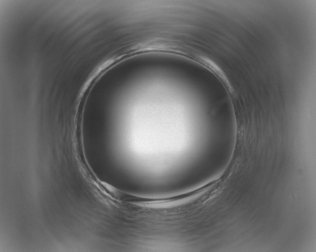 X0000053071146200507251453