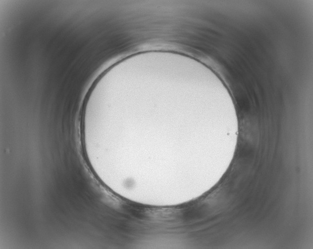 X0000053071150200507251453