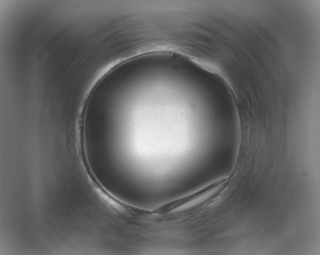 X0000053071151200507251453