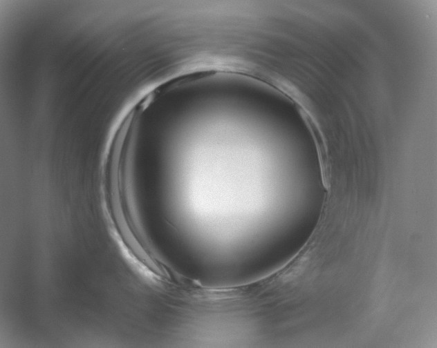 X0000053071152200507251453