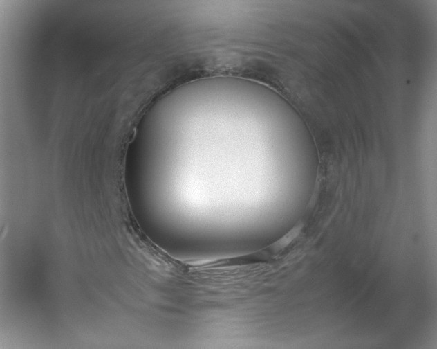 X0000053071153200507251452