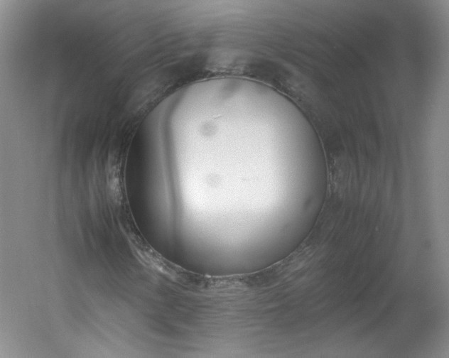 X0000053071154200507251452