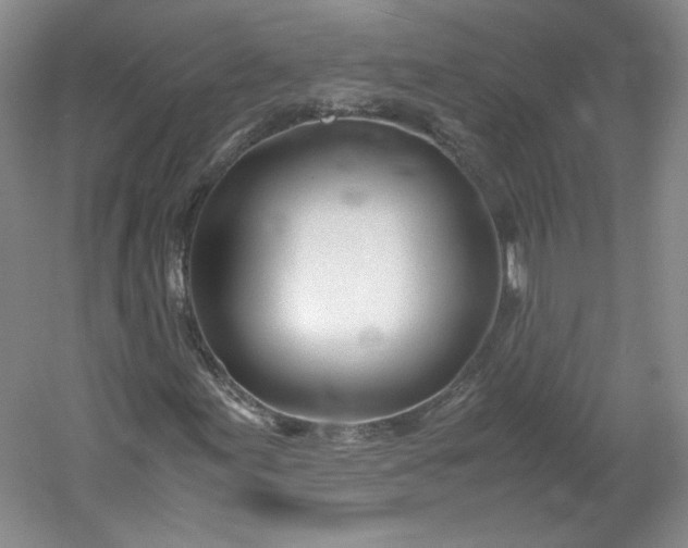 X0000053071155200507251452