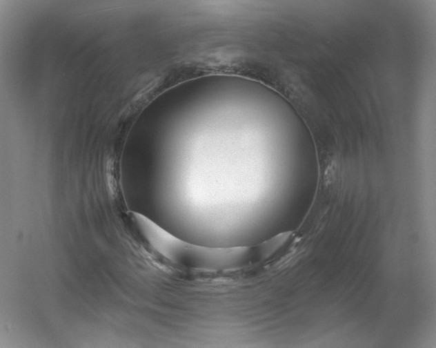 X0000053071156200507251452