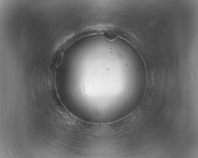 X0000053071158200507251452