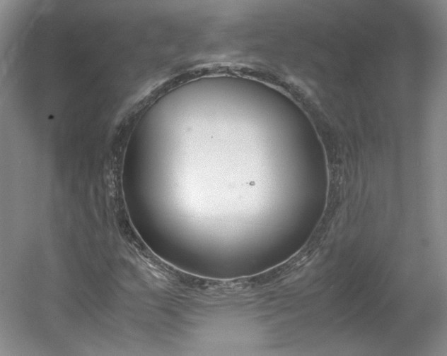 X0000053071159200507251452