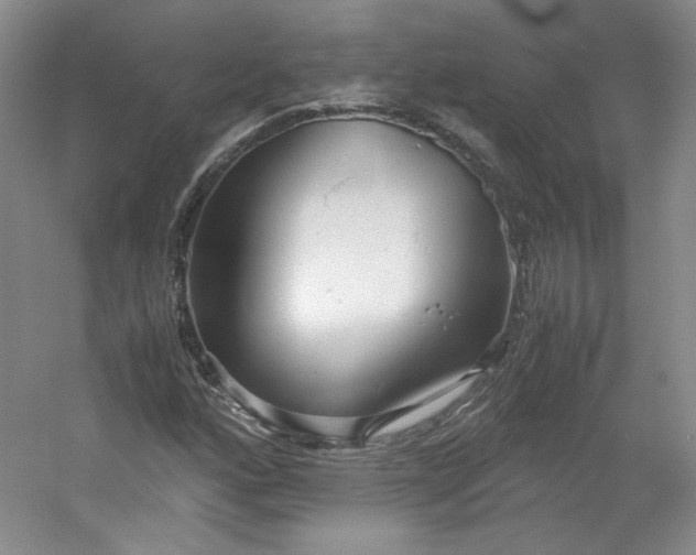 X0000053071160200507251452